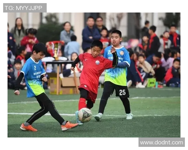 足球沙湖的魅力探秘与激情赛事体验之旅